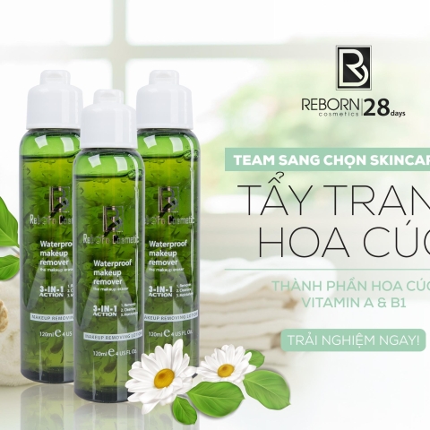 Tẩy trang hoa cúc Reborn